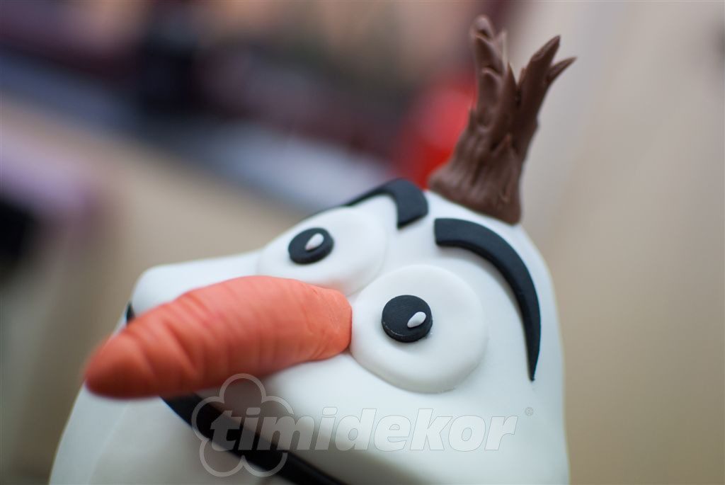 Dort Sněhulák OLAF