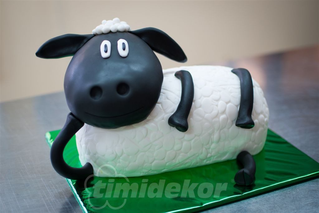 Ovečka Shaun 16